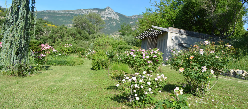 Roseraie Drôme - Le parc